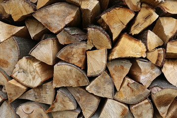 Fototapeta premium Brennholz