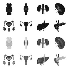 Vector illustration of biology and scientific sign. Set of biology and laboratory stock symbol for web.