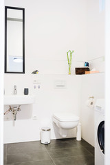 Interior of a neat clean white bathroom and toilet
