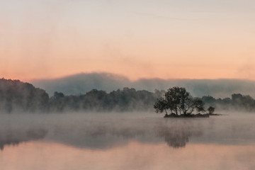 Trees on a river