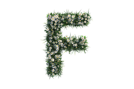 3D rendering image Alphabet letter F, made of flowers and grass