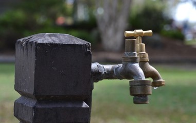 Outdoor taps on a post with a drop of water waiting to drip off the brass faucet