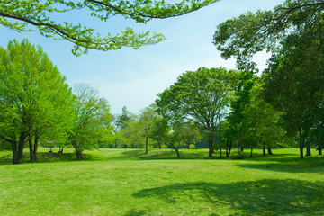 Green park 