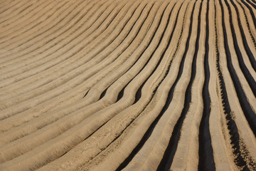  agriculture terre planete ecologie agroecologie regeneratrice culture ecoagriculture environnement eau secheresse