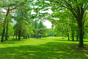 Green park 