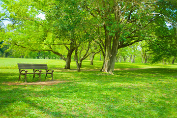 Park bench