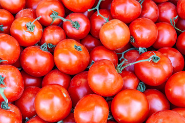 Tomatoes sold in Shuk Hacarmel market, Tel Aviv, Israel