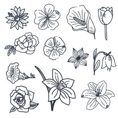 Collection of hand drawn flowers and plants. Vector illustrations in sketch style.