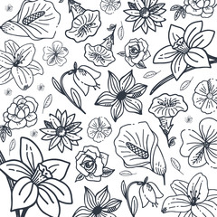 Sketches of flowers on a white background. Floral banner. Vector illustration.