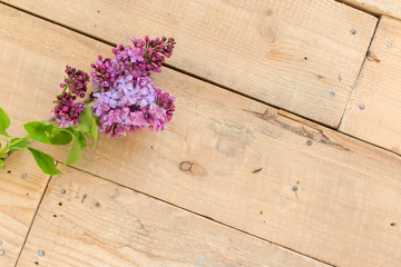 Lilac flowers on a old wooden background