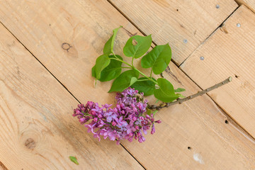 Lilac flowers on a old wooden background
