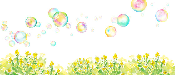 なの花畑とシャボン玉の背景