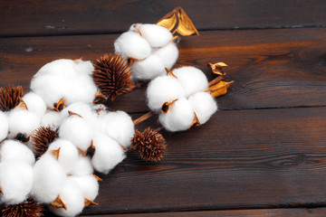 Branch with cotton flowers on wooden background