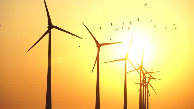 Flock of birds in front of a row of modern wind turbines generating sustainable energy during sunset. 