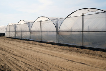 row of polytunnels on a farm