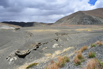 Dry riverbed on the South-West coast of lake Rakshas Tal. Tibet