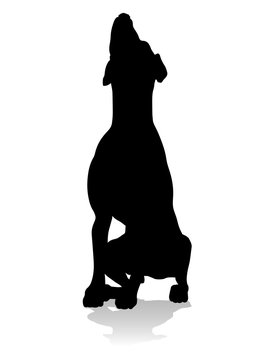 recommend clip art: A detailed animal silhouette of a pet dog