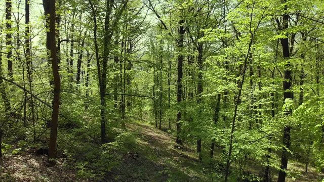 Moving through wood