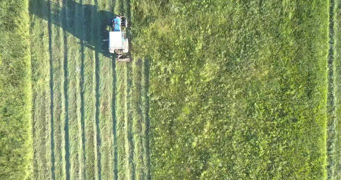 bird eye flight haymaker with sharp mower moves mowing grown grass on field and leaving traces