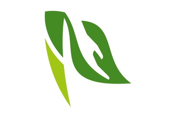 abstract letter N natural plant leaf logo icon