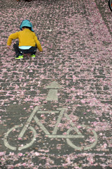 Kind mit FAhrradhelm spielt auf einer Straße die mit Kirschblütenblättern bedeckt ist