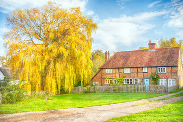 Cottage with autumn coloured willow tree
