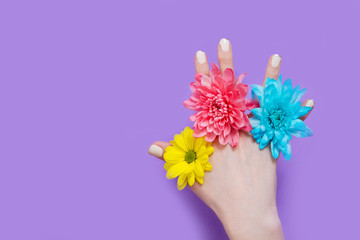 Woman hand and yellow, blue, pink flowers isolated on background. Summer and spring concept. Fashion design and manicure. Top view and copy space. Mock up mother day