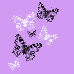Fototapeta na wymiar hand drawn seamless pattern with butterflies