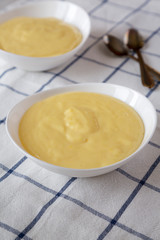 Homemade vanilla custard pudding, side view. Close-up.