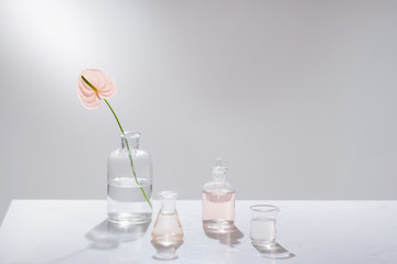 Beautiful composition with perfume samples and flowers on table