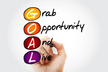 GOAL - Grab Opportunity And Live, acronym with marker, business concept