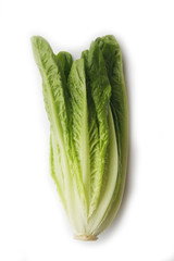 Fresh lettuce salad isolated on white background