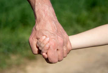 Male hand holding a baby hand, closeup