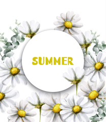 Chamomile summer card Vector watercolor. Vintage flowers white colors. Delicate frame decors