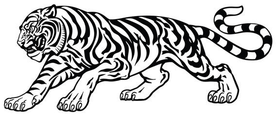 angry tiger in the aggressive attacking pose . Black and white tattoo style vector illustration 