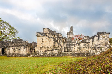 Fototapeta na wymiar Central Acropolis of Ancient City Tikal In Tikal National Park - Guatemala