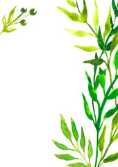 Template spring-summer for design greetings, advertising, postcards. Watercolor drawing. Plants and flowers