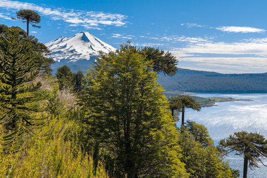 Panoramic view of Conguillio National Park, Chile