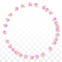 Vector Realistic Pink Petals Falling on Transparent Background.  Spring Romantic Flowers Illustration. Flying Petals. Sakura Spa Design. Blossom Confetti.