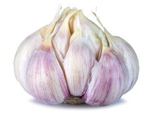 Obraz premium Fresh garlic head isolated on a white background with clipping path