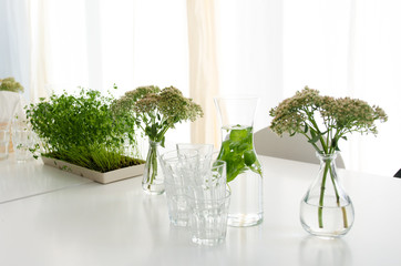 On a white table, there are vases with herbs, a carnival of water with mint leaves, empty glasses and a tray of herbs. A soft light falls through the window covered by white curtains.