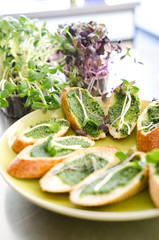 Delicious vegan sandwiches with fresh bread and pea paste garnished with herbs served on a green plate. Herbs in the background.
