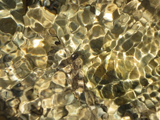 Flie&szlig;endes Wasser mit Muster