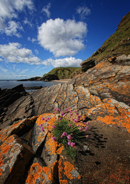 Caithness Coast, Scotland, HIghlands