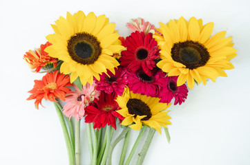 Obraz premium Gerbera and sunflower flowers on white background.