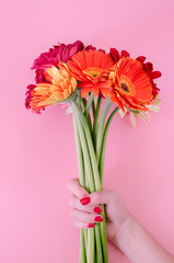 Bouquet of gerbera flowers on pink background. Top view.