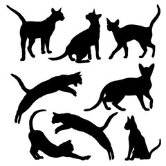 Abyssinian Cat. Silhouette of a cats on a white background. Stock Vector Illustration