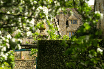 English mansion house through trees