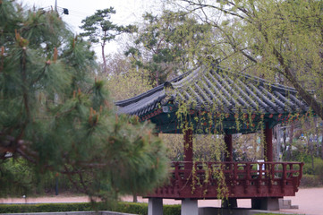 Fototapeta premium 공원과 정자