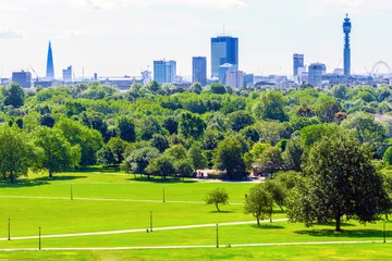 Tuinposter London Cityscape seen from Primrose Hill in London © IWei